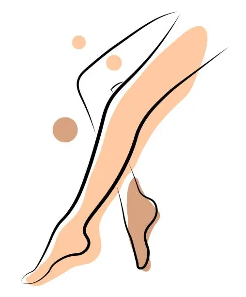 Vector illustration of Beautiful female legs