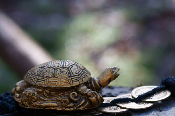 istock A metal turtle and Chinese coins. A religious symbol. 1480826825