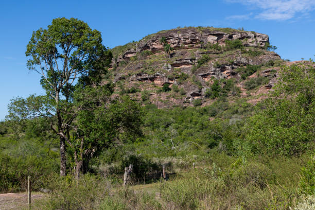 istock Geological formations and vegetation 1480827815