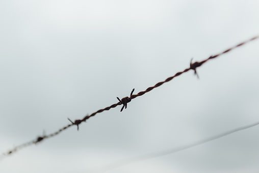Barbed wire is used to protect territory or objects. Also symbolizes danger, threat, warning, stop