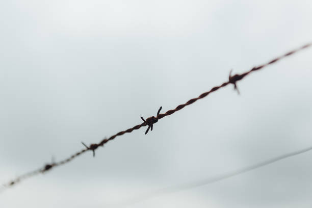 A close-up view of barbed wire against a cloudy sky Barbed wire is used to protect territory or objects. Also symbolizes danger, threat, warning, stop rusty barb stock pictures, royalty-free photos & images