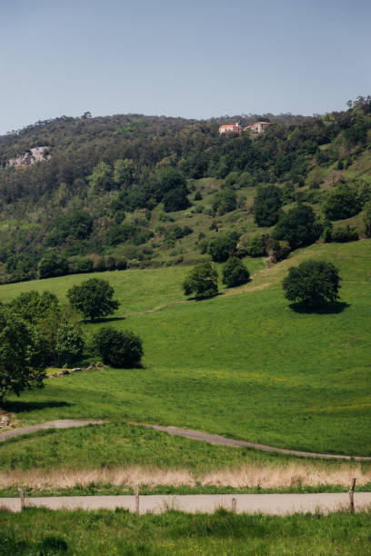 istock Bright spring landscape with mountains covered with greenery and with residential buildings 1480828246