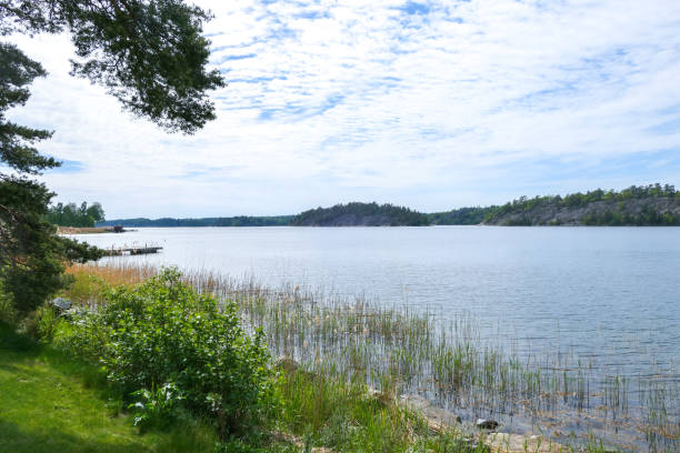 istock Scenic view of lake against sky during summer 1480831696