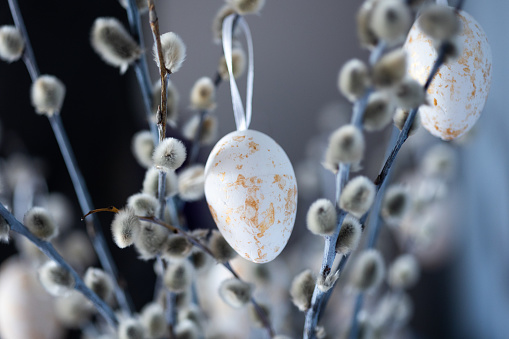 Easter decoration. Flower bouquet with colored eggs