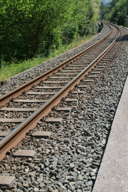 istock The iron rails are covered with rubble. Bright landscape with a railway 1480833082