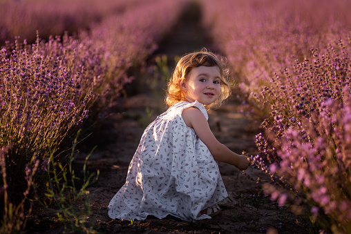 Little girl in flower dress runs among the rows of purple lavender in field. Child is digging in the ground. Walk in the countryside. Allergy concept. Natural products, perfumery. Cheerful childhood