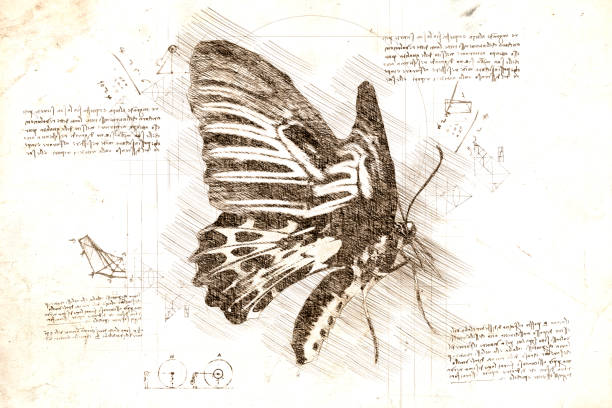 istock da Vinci style sketch of  butterfly 1480835025
