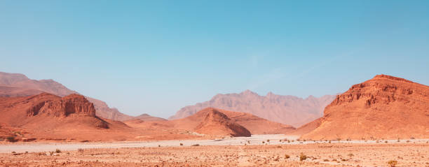 istock African panorama desert landscape 1480835567