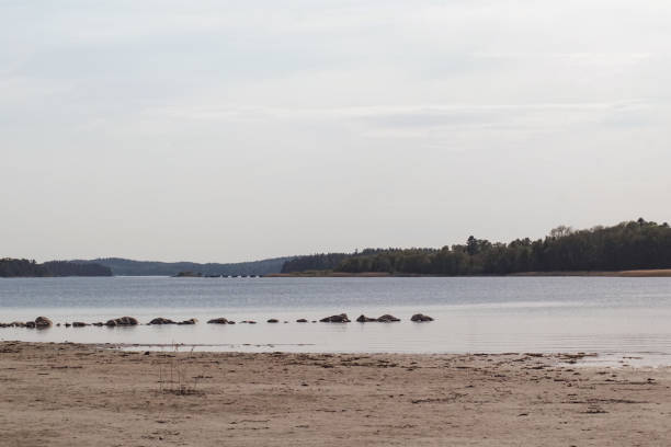 Scenic view of beach against sky during summer