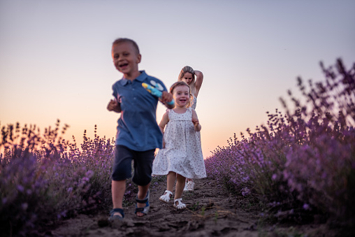 Little son daughter play catch up around mother in rows of purple lavender field. Cute, cheerful boy girl having fun in the countryside with a young woman. Weekend travel. View from below. Copy space