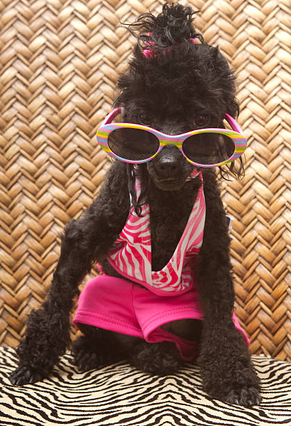 istock Glammed Up For The Beach 148083853