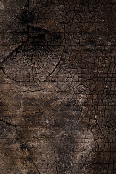 istock the dark wooden pattern texture for wallpaper design 1480840518