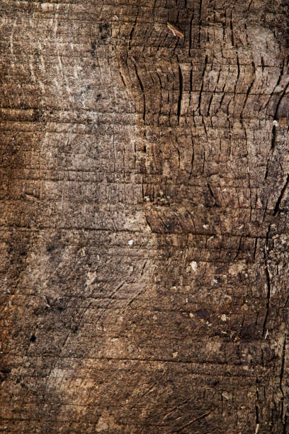 istock the old wooden dark and white texture pattern design for wallpaper 1480840569