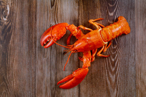 istock Freshly steamed red lobster that has been boiled to perfection 1480842311