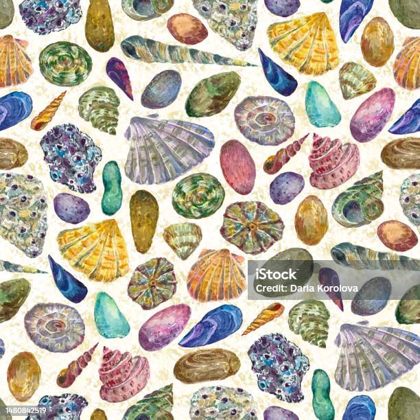 Colorful Single Shell Seamless Pattern With Colorful Shells And Stones Stock Illustration ...