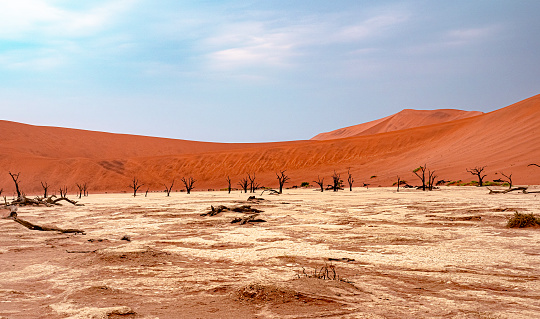 Namibian desert at dawn - Dead Vlei, Sousselvlei