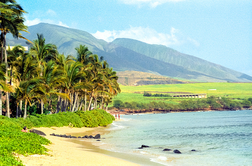 Vintage film photograph the beach a ocean through lush greenery on the tropical island of Maui, Hawaii.