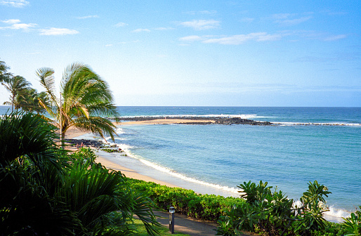 Vintage film photograph the beach a ocean through lush greenery on the tropical island of Maui, Hawaii.