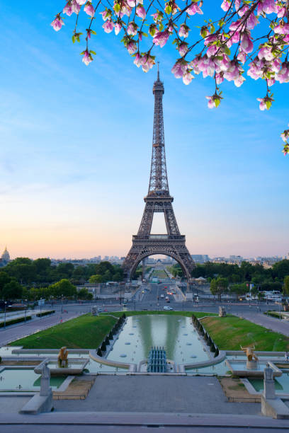 istock eiffel tour and from Trocadero, Paris 1480847655