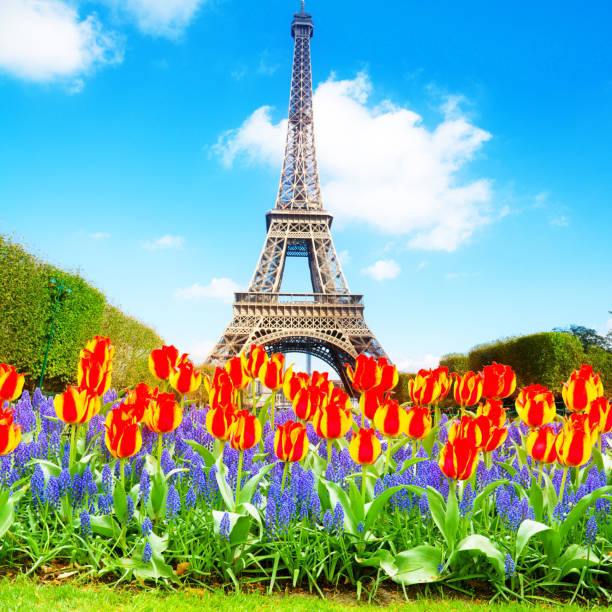 istock Eiffel Tower at spring, France 1480847657