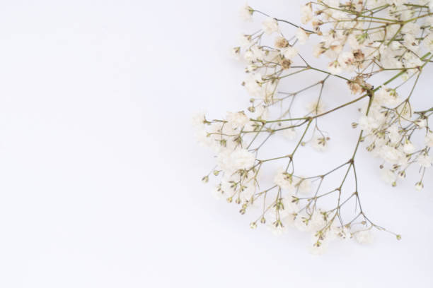 istock wedding or mothers day background 1480848883