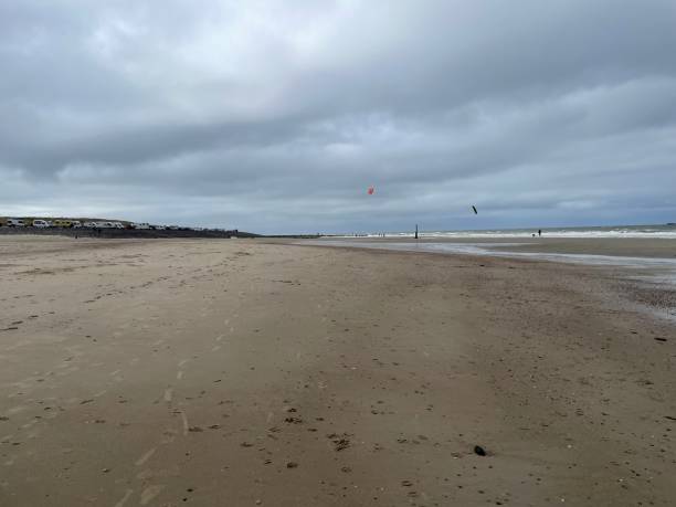 istock Endless sandy beach in the Netherlands 1480850094