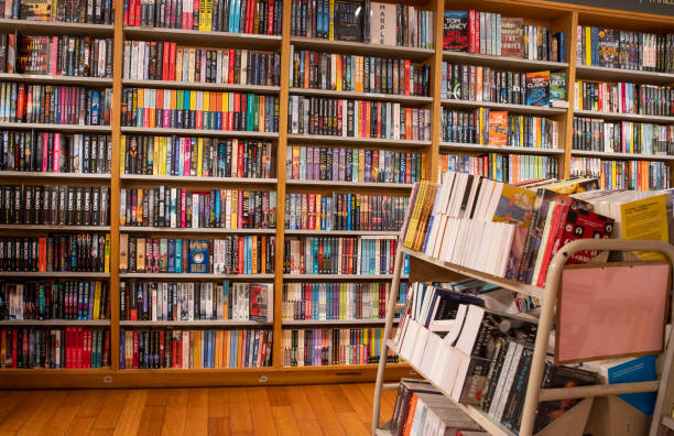 library shelf full of books on different subjects - education theme background - bookstore imagens e fotografias de stock