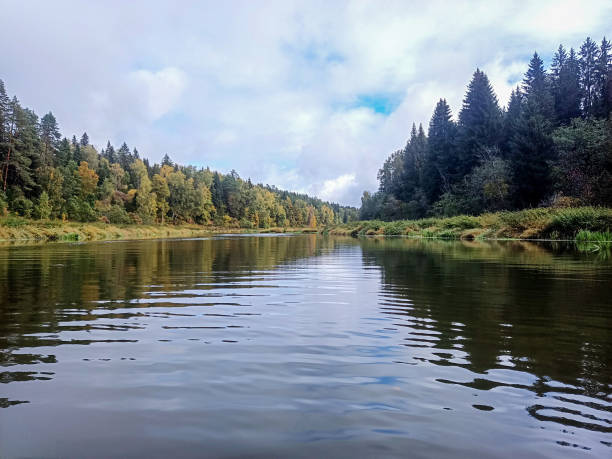 istock Rafting on inflatable kayaks on a calm and quiet river 1480863670