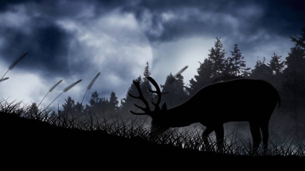 Deer Silhouette on a Hill in the Moonlight features the silhouette of a deer on a hill with pine trees behind and a full moon and clouds in the background