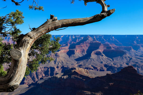 istock Grand Canyon National Park 1480869073