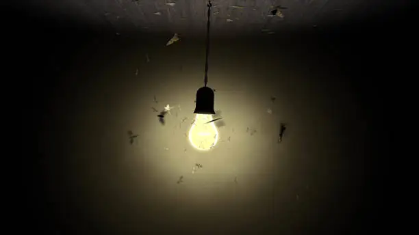 Photo of Like Moths to a Light Bulb