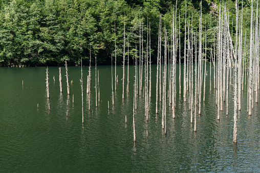 Natural lake Nagano Prefecture