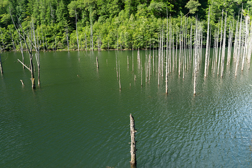 Natural lake Nagano Prefecture