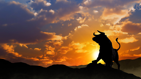 Stock Market Bull Silhouette at Sunrise features the silhouette of the stock market bull on a hill with a sunrise behind and mist at its feet.