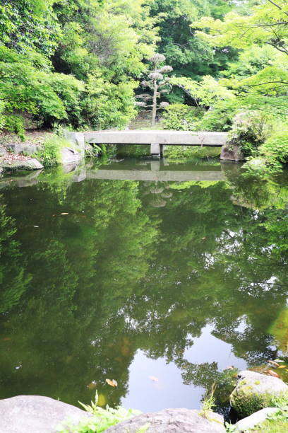 istock Idyllic Japanese pond 1480872581
