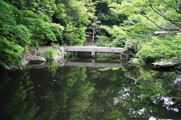 istock Scenery of a quiet pond in the forest 1480872585