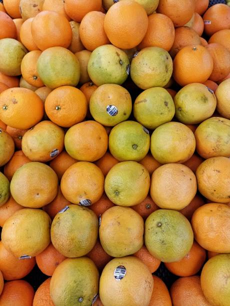 istock Oranges at the market 1480874634