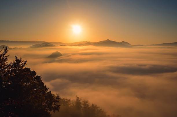 istock Fabulous colorful autumn landscape. 1480874724