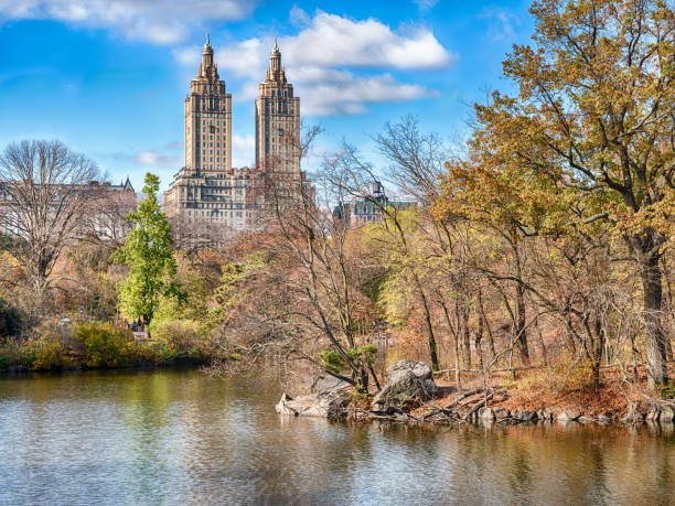 istock The Lake In Central Park 1480874790