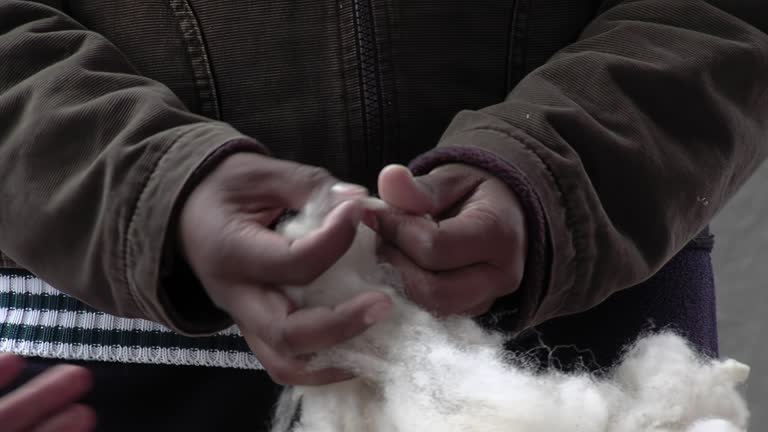 Hands of a Young Farmer Sorting Washed Sheep Wool on a Farm in Catamarca Province, Argentina. Closeup.