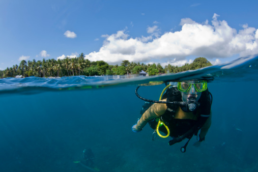 Under-over shot of a Female diver swimming at the surface with palm trees in the background