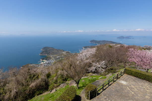 istock Mt. Shiude, famous for its cherry blossoms, in Japan 1480880020