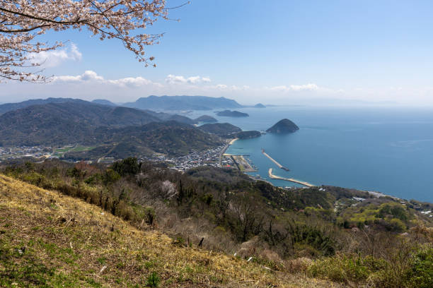 istock Mt. Shiude, famous for its cherry blossoms, in Japan 1480880057