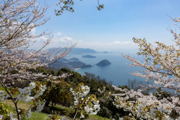 istock Mt. Shiude, famous for its cherry blossoms, in Japan 1480880090