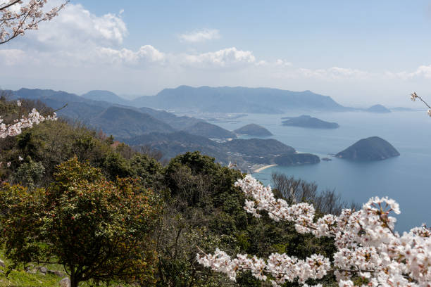 istock Mt. Shiude, famous for its cherry blossoms, in Japan 1480880097