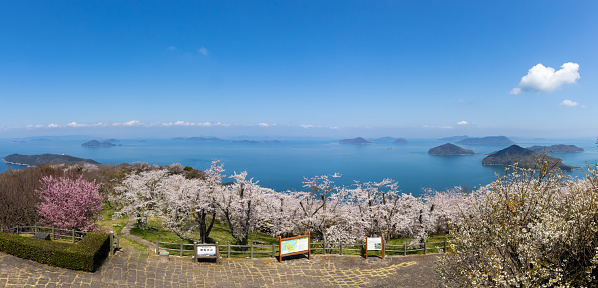 Mt. Shiude, famous for its cherry blossoms, in Japan