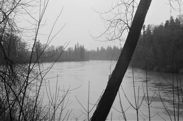 This black and white image was taken in Acadia National Park on a cool Summer morning.