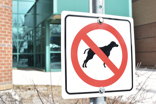 NO Dogs Allowed Sign