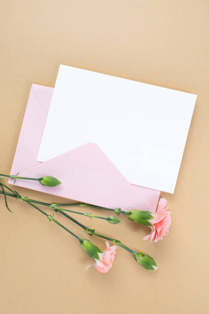 istock Carnation and card mock-up 1480883026