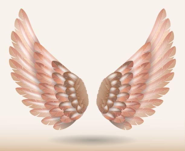 Wing Angle Devil 540+ Angel Devil Wing Tattoo Pics Stock Photos, Pictures & Royalty-Free ...